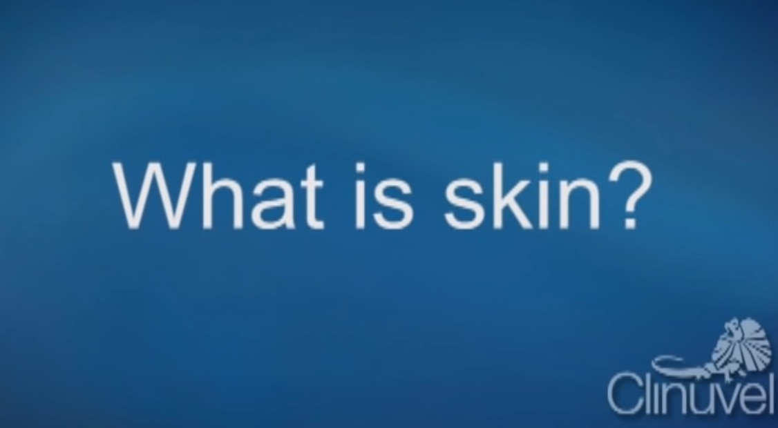 What is Skin